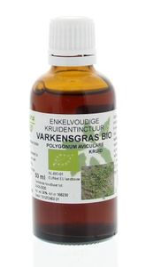 Natura Sanat Polygonum avic herb / varkensgras tinctuur bio (50 ml)