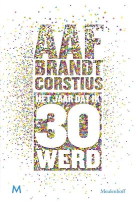 Het jaar dat ik 30 werd - Aaf Brandt Corstius - ebook