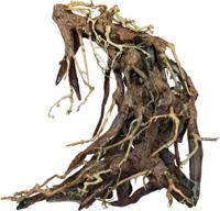 Bonsai root large - Aquadistri