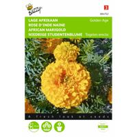 2 stuks Tagetes erecta nana Golden Age - thumbnail