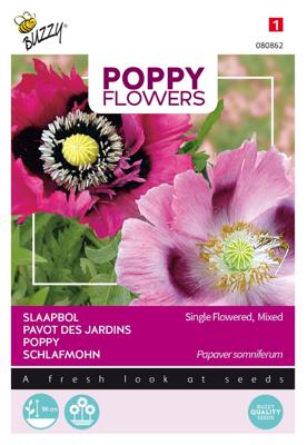 Poppies of the world papaver slaapbol - Buzzy