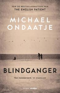 Blindganger (Paperback)