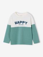 Sweater met lange mouwen met kleurblokken blauwgroen