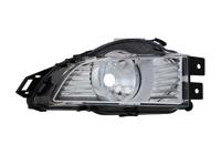 Mistlamp rechts H10 3850996