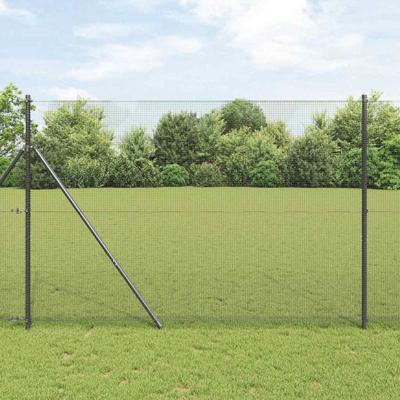 Gelaste draadhek Grijs 1.5 x 50 m Staal