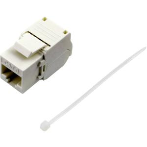 TRU COMPONENTS RJ45-koppeling, Cat. 6 93038C369 Koppeling, recht Aantal polen 8 Wit 1 stuk(s)