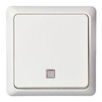 ELSO UP-toets 242134 verlicht 10A RENOVATIE rw 1 stuk(s)