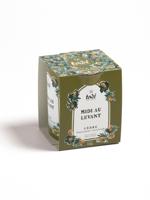 Geurkaars ceder 180 Gram