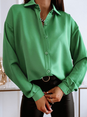 Plain Casual Blouse
