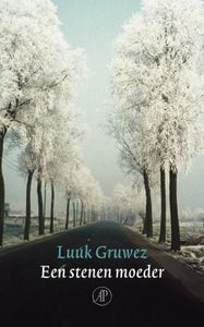 Een stenen moeder - Luuk Gruwez - ebook