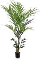 Kentia palm plant h180cm groen - Emerald