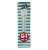 B1 Lemon-Lime Vintage Tin Thermometer