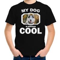 Husky honden t-shirt my dog is serious cool zwart voor kinderen