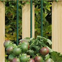 VidaXL Plantenstaken 30 st 90 cm staal groen