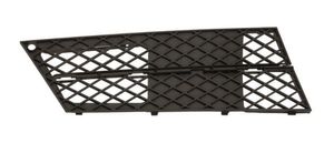 Ventilatiegrille, bumper 6502070066996P