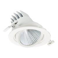 Philips LED Spot LuxSpace Accent Performance RS781B 31.5W 3900lm 36D - 830 Warm Wit | 170mm