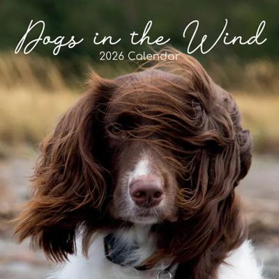 Dogs in the Wind Kalender 2026