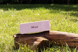 Dankzij de draagbare Bluetooth®-luidsprekers Trust 23829 ZOWY MAX Roze