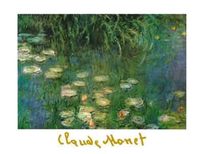 Kunstdruk Claude Monet - Ninfee dell&apos;Orangerie 80x60cm