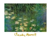 Kunstdruk Claude Monet - Ninfee dell&apos;Orangerie 80x60cm