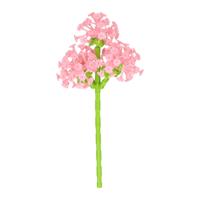 Bloemen Bouwset Roze - 227dlg.