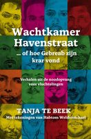 Wachtkamer Havenstraat... of hoe de Gebreab zijn krar vond - Tanja te Beek - ebook