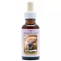 Animal Essences Beaver (bever) 30 Milliliter