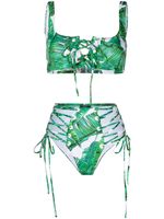 Noire Swimwear bas de bikini Jungle - Vert