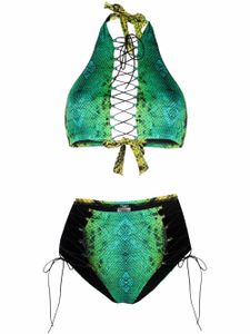 Noire Swimwear bikini à imprimé peau de serpent - Vert