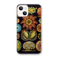 Haeckel Ascidiae: iPhone 13 mini Transparant Hoesje Haeckel Ascidiae: iPhone 13 mini Transparant Hoesje