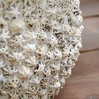 BEACH planter 30x30 cm - white shell