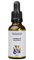 Vitamine AD druppels 30 Milliliter