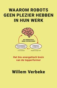 Waarom robots geen plezier hebben in hun werk - Willem Verbeke - ebook