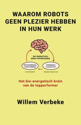 Waarom robots geen plezier hebben in hun werk - Willem Verbeke - ebook