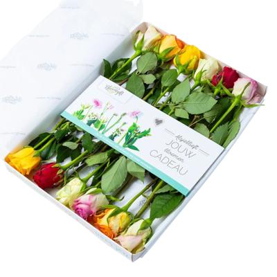 Brievenbus Rozen gemengd