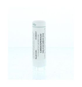 Cardiospermum halicacabum D30