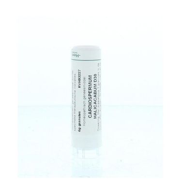 Cardiospermum halicacabum D30