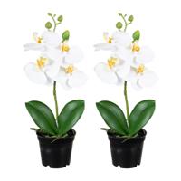 Orchidee bloemen kunstplant op plug - 2x - bloemen/bloemetjes - wit/groen - H33 cm