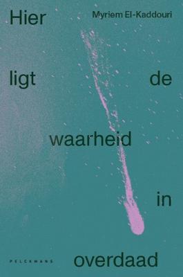 Hier ligt de waarheid in overdaad (Paperback)