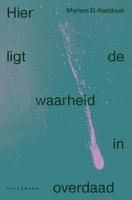 Hier ligt de waarheid in overdaad (Paperback)