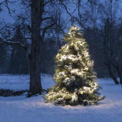 Clusterverlichting voor binnen en buiten - 576 LEDs - 4.3 meter