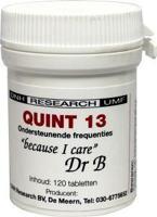 DNH Quint 13