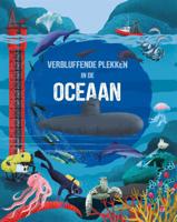 Verbluffende plekken in de oceaan (Hardback)