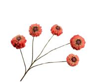 Zinnia tak oranje 91 cm Silk-Ka - Silkka