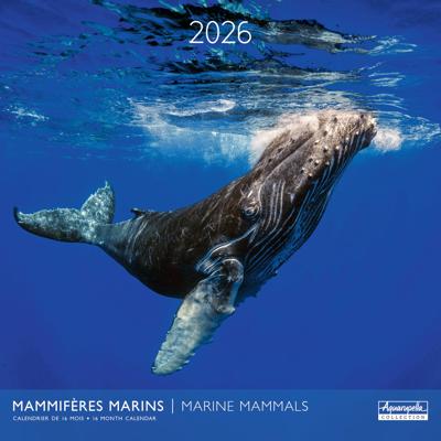 Marine Mammals Kalender 2026