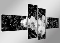 Schilderij - Orchidee, Zwart-Wit, 160X70cm, 4luik