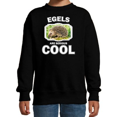 Dieren egel sweater zwart kinderen - egels are cool trui jongens en meisjes Dieren egel sweater zwart kinderen - egels are cool trui jongens en meisjes