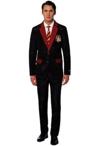 Carnaval kostuum Harry Potter 3-Delig zwart