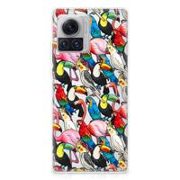 Motorola Moto X30 Pro | TPU Hoesje | Birds