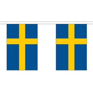 Stoffen vlaggenlijn Zweden 3 meter   -